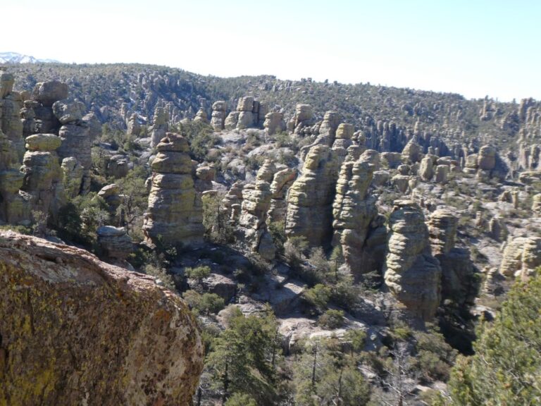 Chiricahua National Monument Banner
