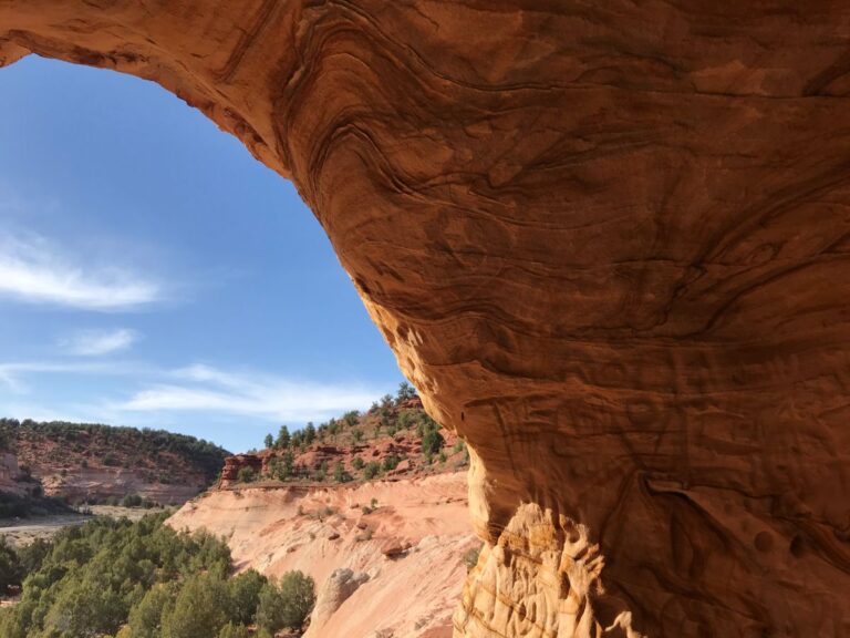 BellyOfTheDragon_cover