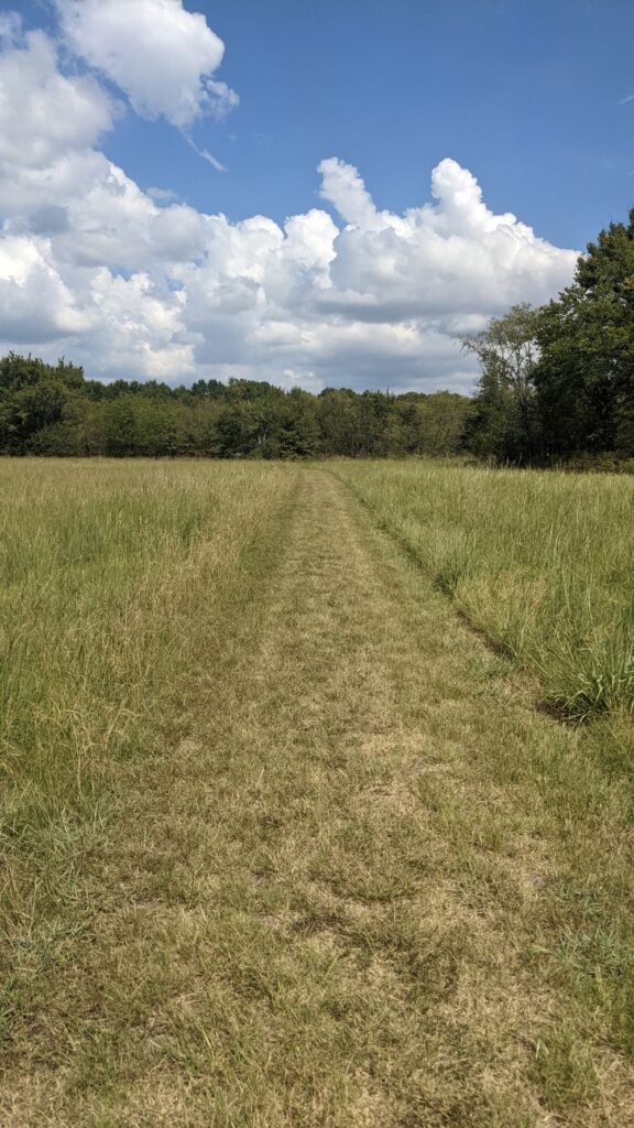 Spiro Mounds Grass Trail