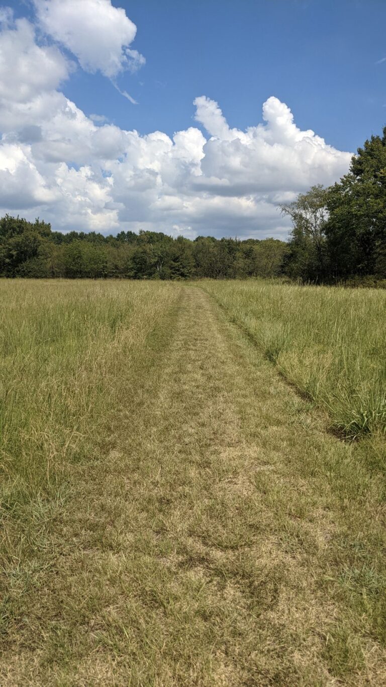2022_09_18_SpiroMounds_trail