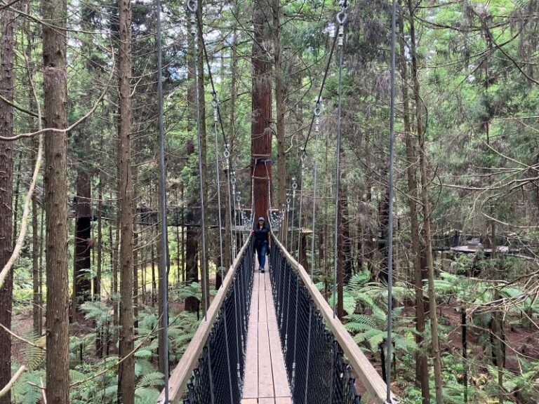 2023_11-30_BridgeWalk