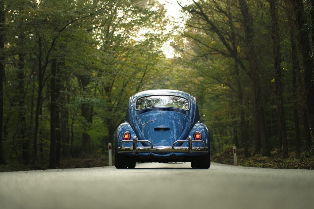 vw, beetle, car, classic car, forest, nature, outdoors, road, drive, road trip, trip, travel, trees, vehicle, car wallpapers, vintage, volkswagen, volkswagen beetle