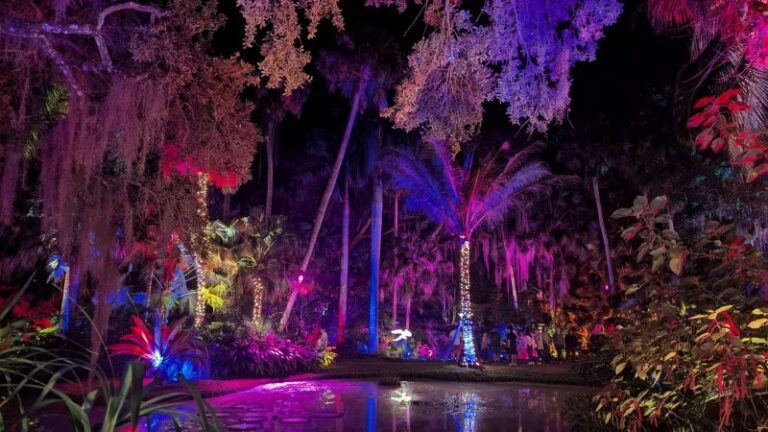 Jungle Lights at McKee Botanical Gardens