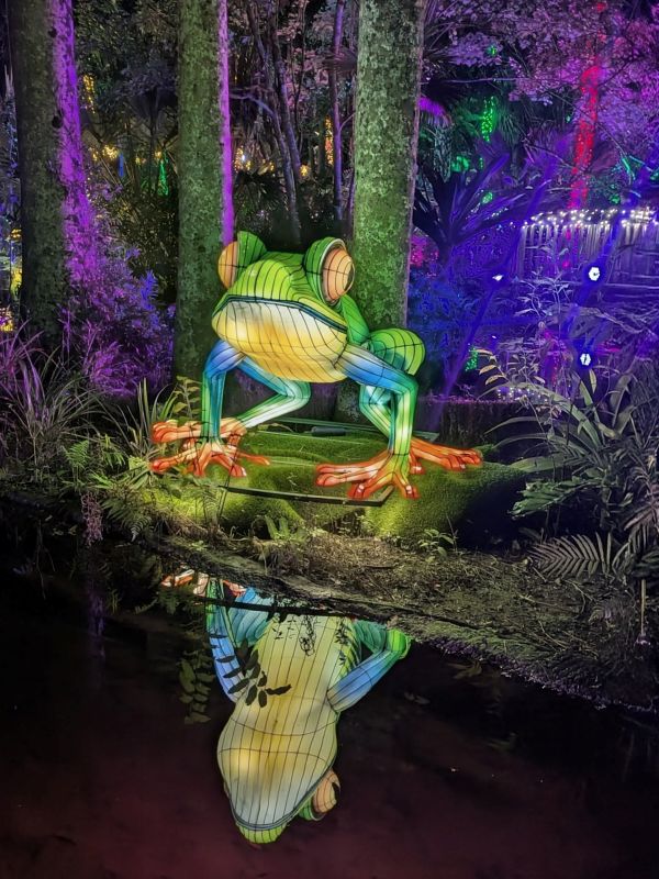 Jungle Lights at McKee Botanical Gardens Frog