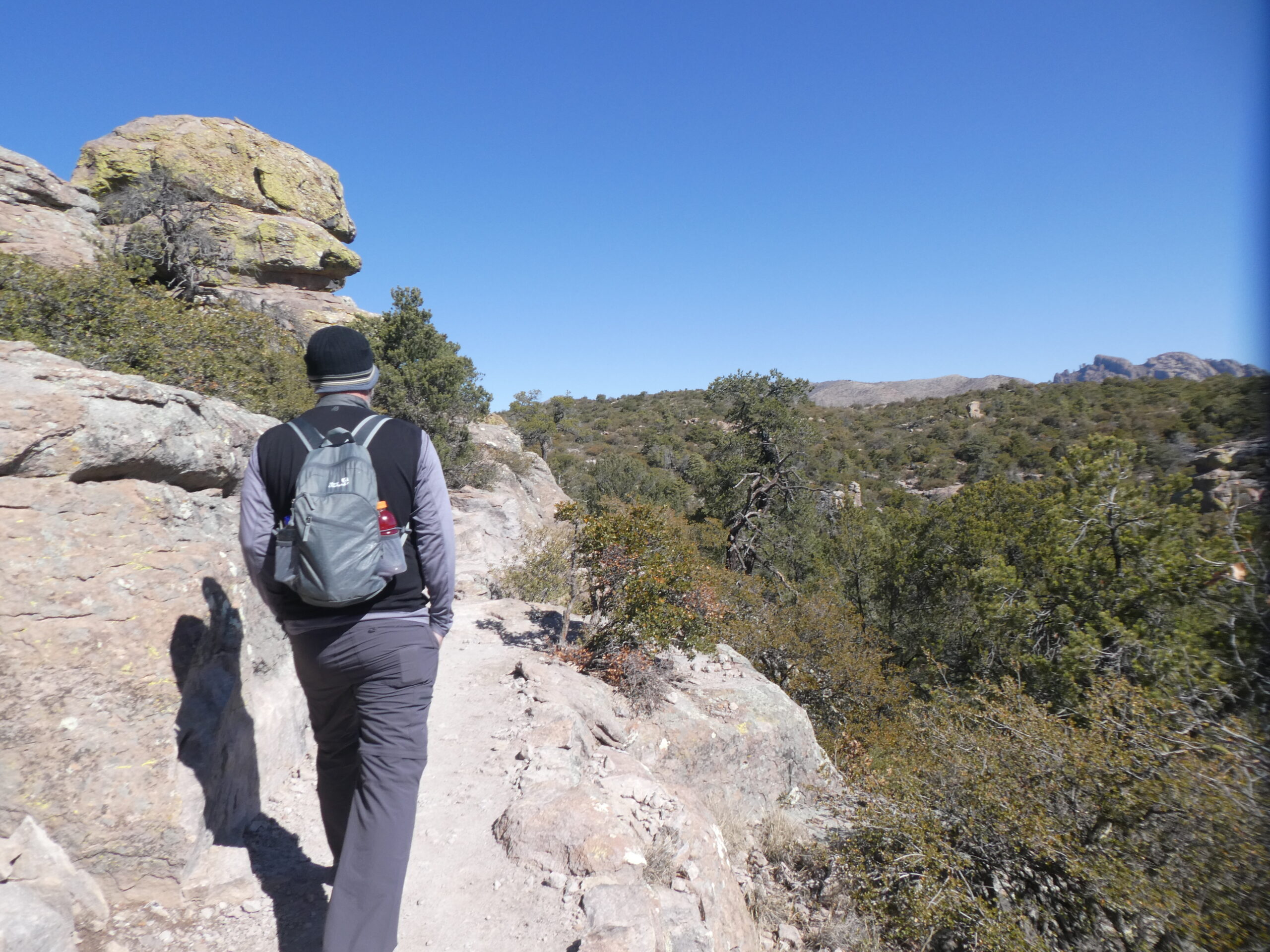 Chiricahua