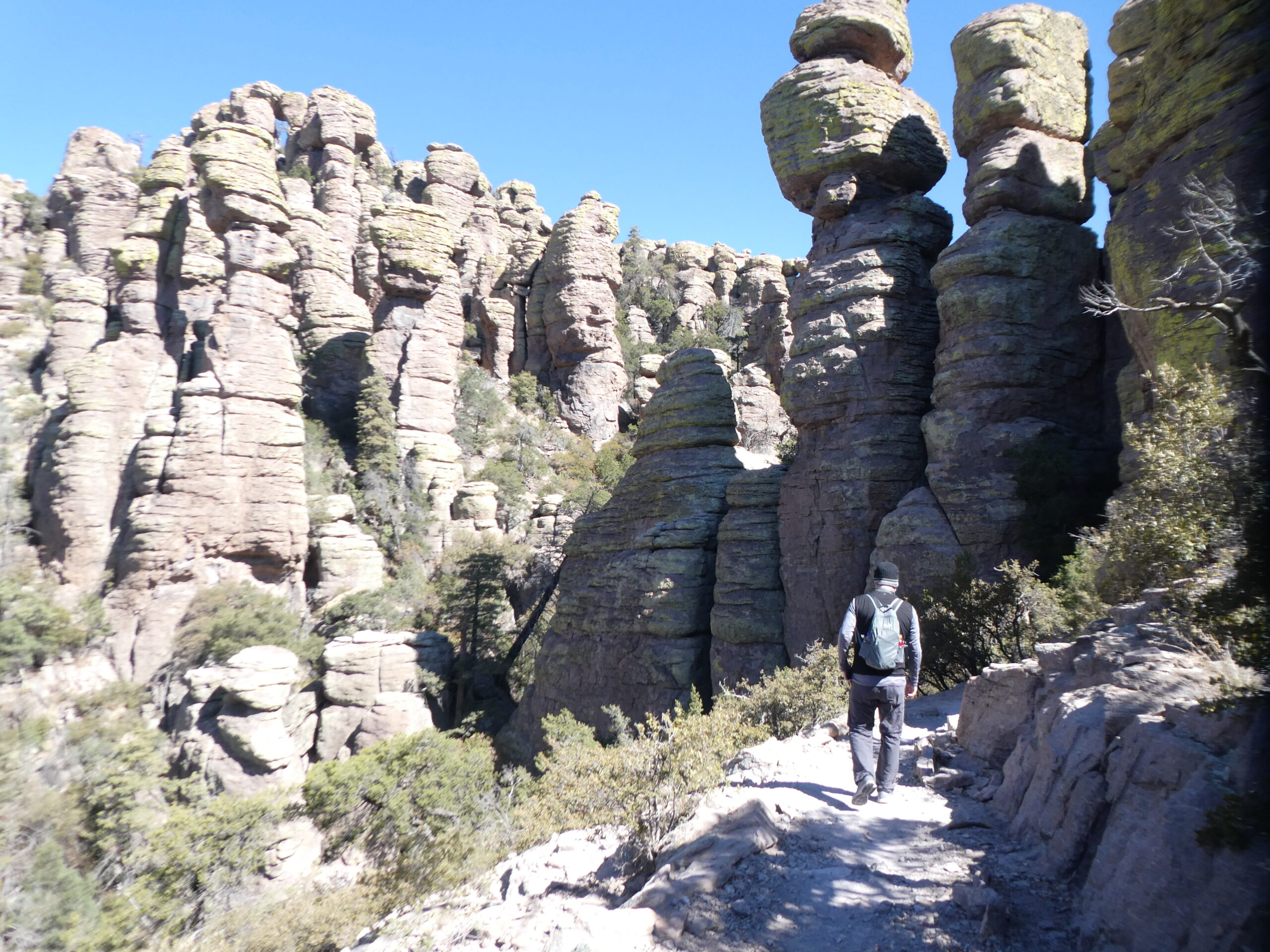 Chiricahua 1