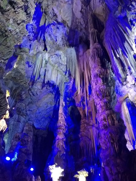 Day Trip to the Rock of Gibraltar from Málaga