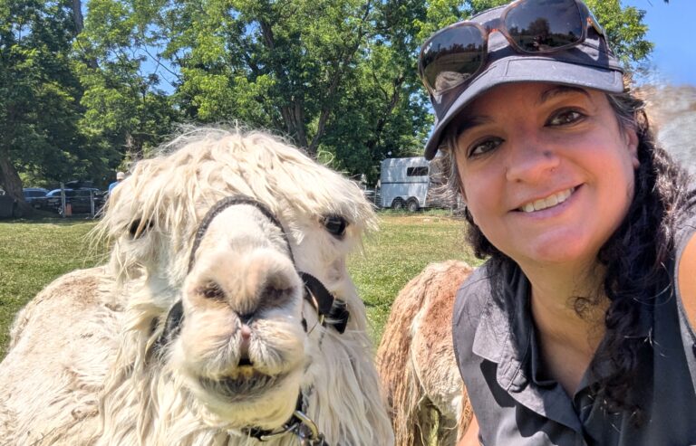 Alpaca Hike at Clover Brooke Farm