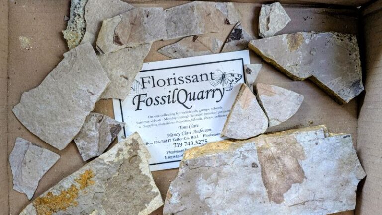 Florissant Fossil Quarry